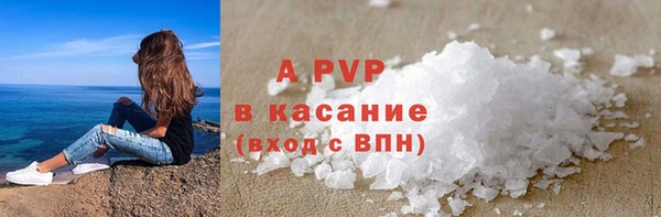 прущие грибы Богородск