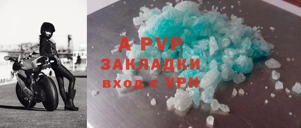 прущие грибы Богородск