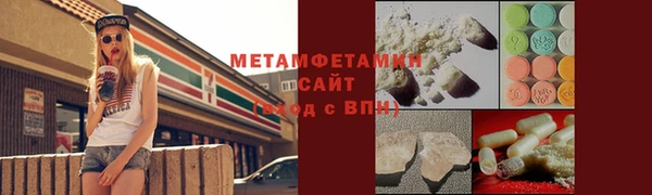 прущие грибы Богородск
