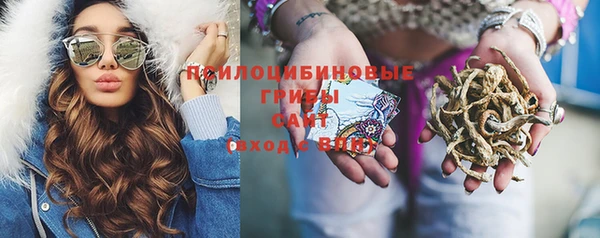 соль курить ск Богородицк