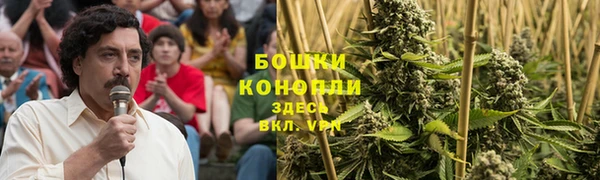 прущие грибы Богородск