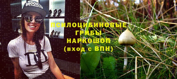 соль курить ск Богородицк