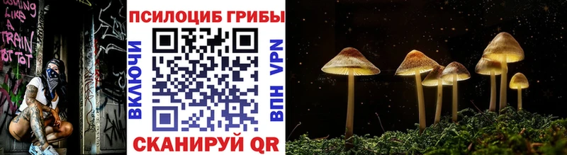 Псилоцибиновые грибы Magic Shrooms  Купить где  Меленки 